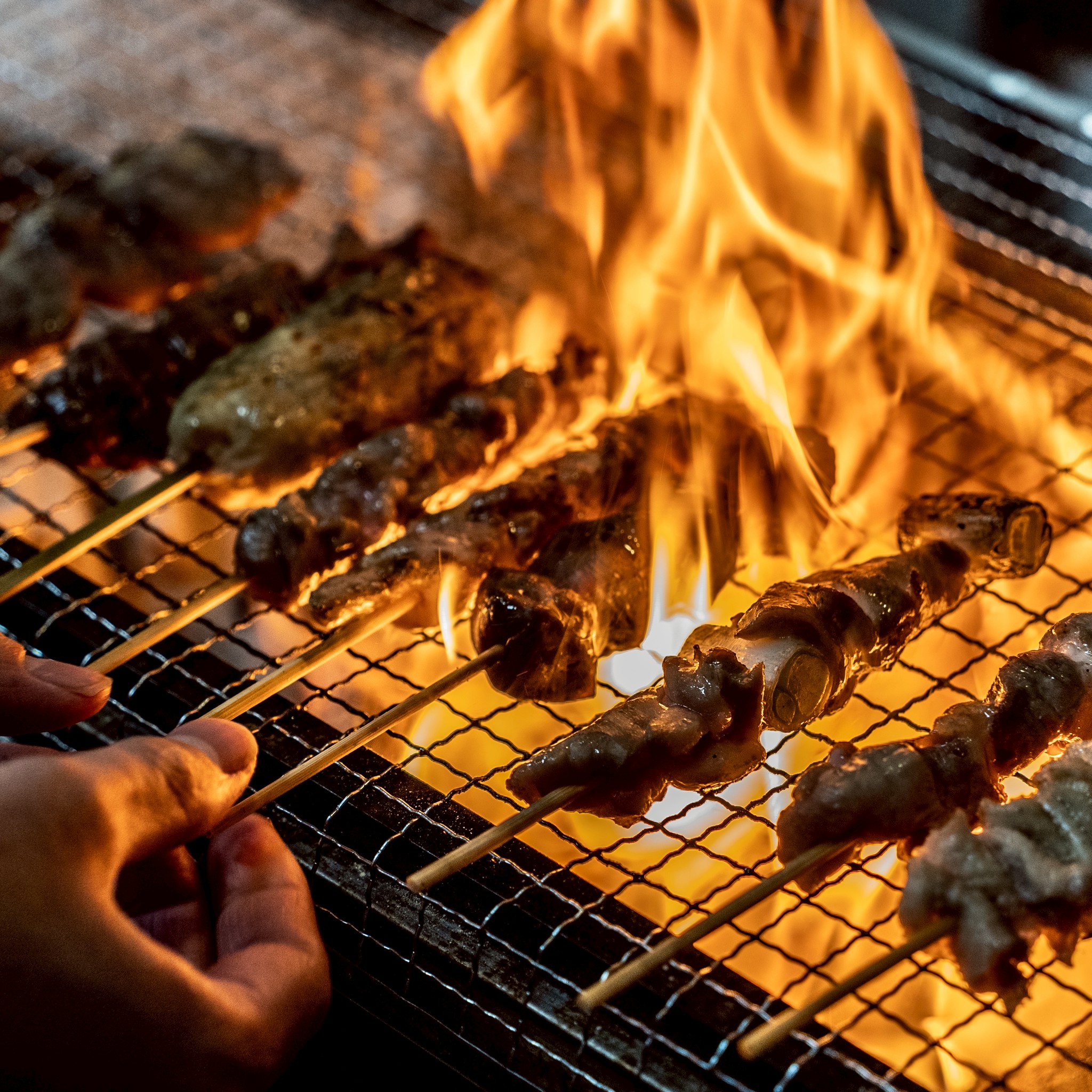 朝引き鶏の焼き鳥